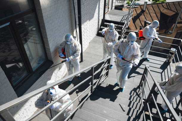 Boone, IA Mold Removal Company