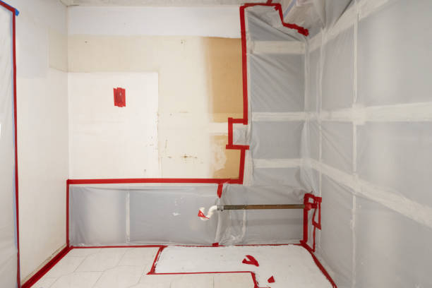 Best Residential Mold Inspection & Testing  in Boone, IA
