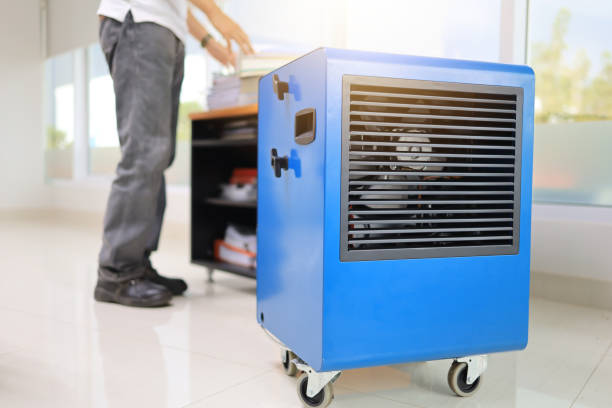 Best Mold Documentation for Insurance Claims  in Boone, IA